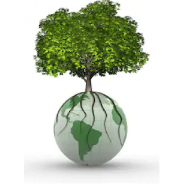 OZNÁMENIE o začatí konania vo veci vydania súhlasu na výrub 7 ks drevín, ktoré rastú v zastavanom území obce Iňa , na pozemku KN-C č. 108- zastavaná plocha a nádvorie k. ú. Iňa.