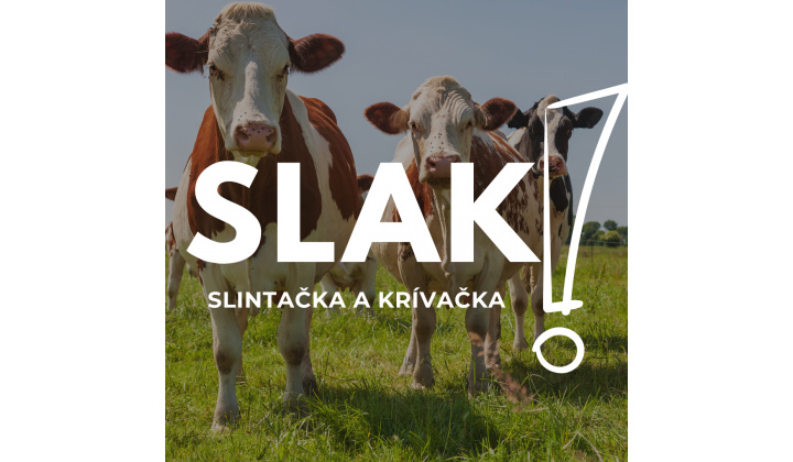 Aktuálne - opatrenia v súvislosti so šíriacou sa nákazou slintačky a krívačky 