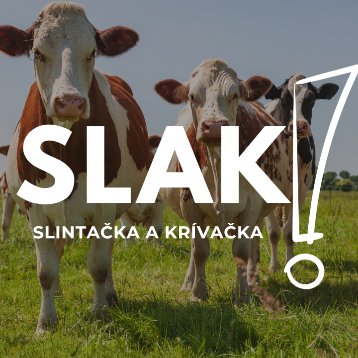 Aktuálne - opatrenia v súvislosti so šíriacou sa nákazou slintačky a krívačky 