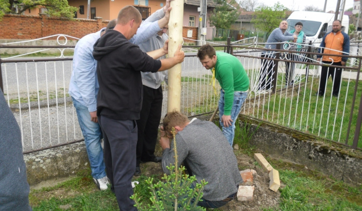 Majáles - stavanie Mája 2015 - Májfát állítottunk 