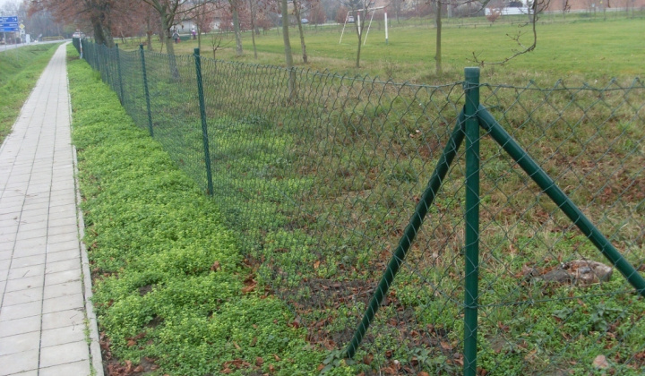 Realizácia projektu - Revitalizácia verej.plôch - futbal.ihrisko