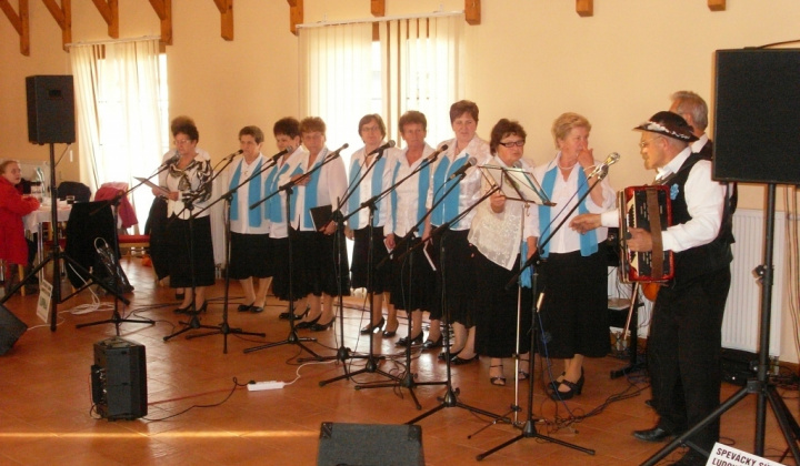 Stretnutie s dôchodcami 2013 - Nyugdíjasok napja 