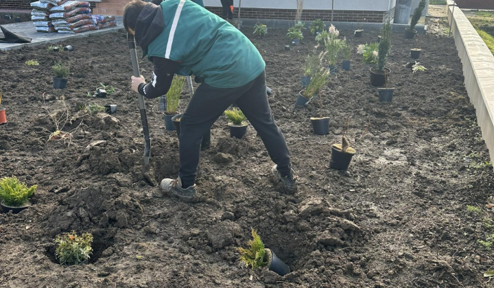 Revitalizácia zelene pred obecným úradom - az önkormányzati hivatal előtti zöldfelület revitalizálása
