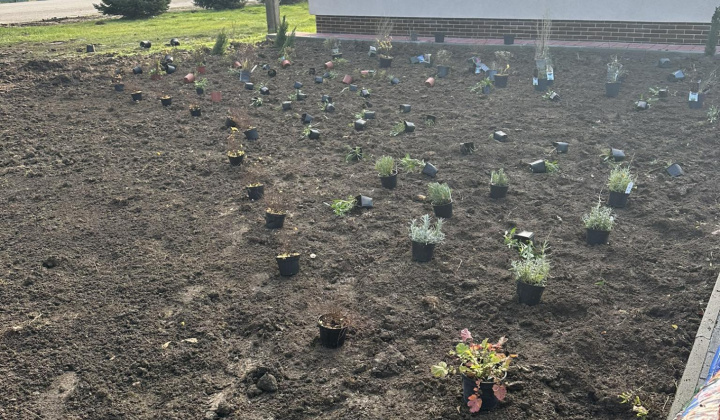 Revitalizácia zelene pred obecným úradom - az önkormányzati hivatal előtti zöldfelület revitalizálása