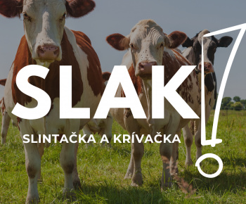 Aktuality / Aktuálne - opatrenia v súvislosti so šíriacou sa nákazou slintačky a krívačky  - foto