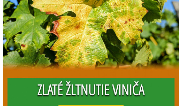 Zlaté žltnutie viniča - informácie ÚKSUP